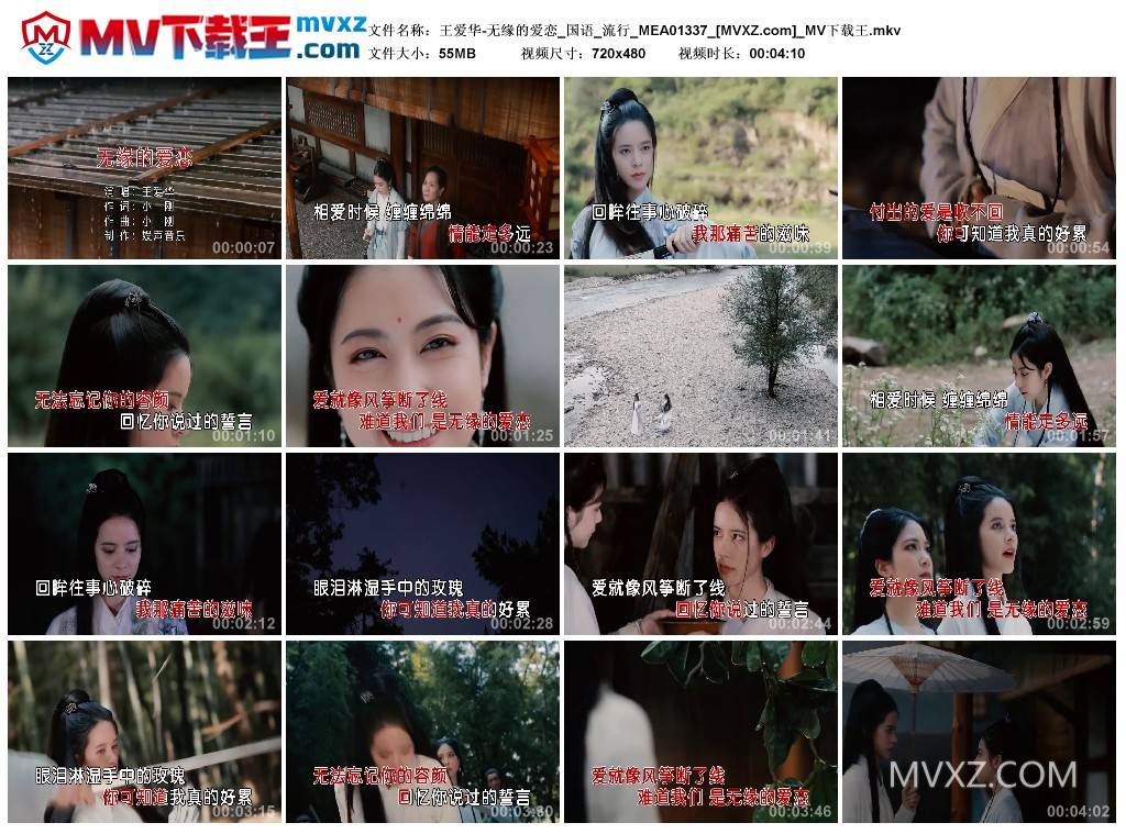 王爱华-无缘的爱恋_国语_流行_MEA01337